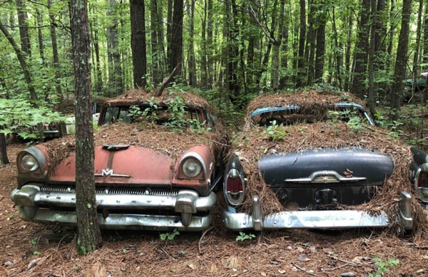Bãi xe ôtô phế thải Old Car City ẩn mình trong rừng rậm ở bang Georgia (Mỹ), cách Atlanta hơn 80km là nơi “an nghỉ” của hơn 4.000 chiếc xe cổ. Nghĩa địa ô tô này chiếm khoảng 140.000 m2 rừng. (Ảnh: Hotcars).