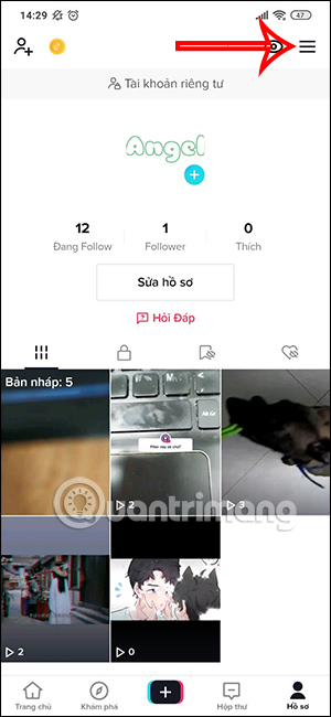 Tùy chỉnh TikTok 