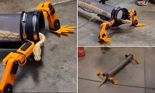 Thiết bị cho rắn