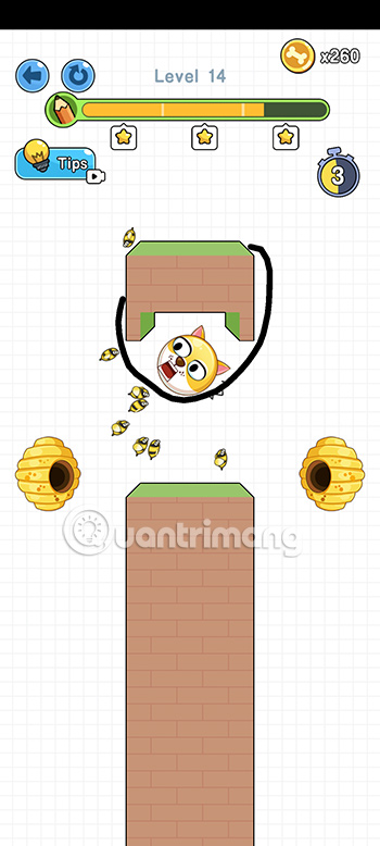 Đáp án Save the Doge