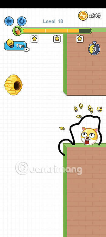 Đáp án Save the Doge