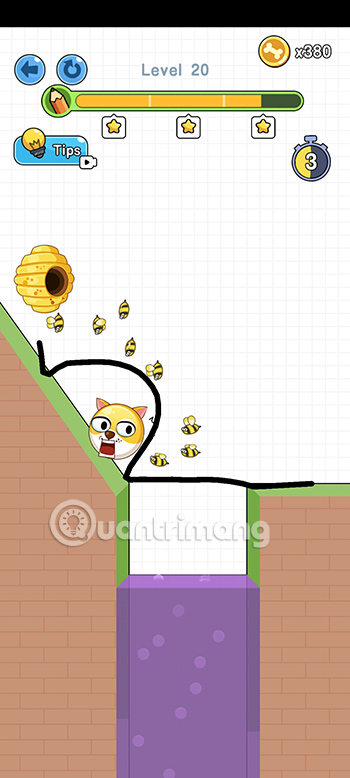 Đáp án Save the Doge