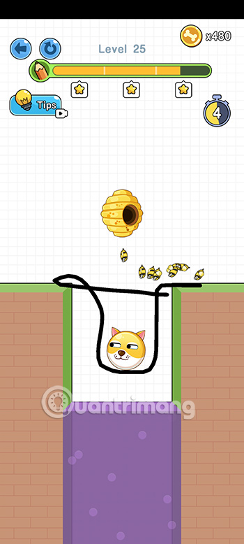 Đáp án Save the Doge