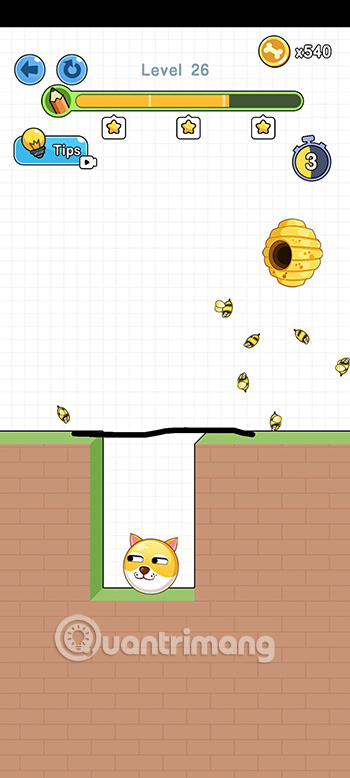 Đáp án Save the Doge