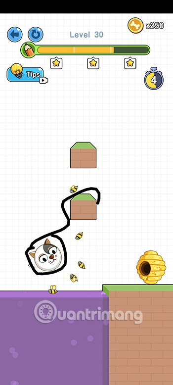 Đáp án Save the Doge