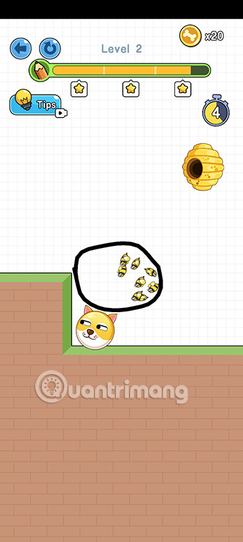 Đáp án Save the Doge
