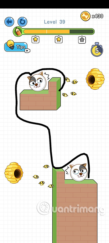 Đáp án Save the Doge