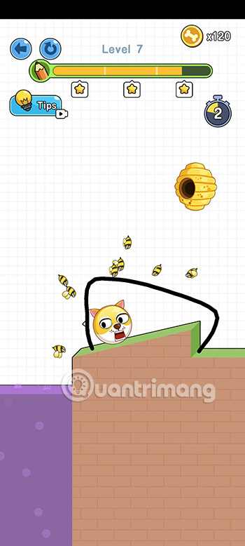Đáp án Save the Doge