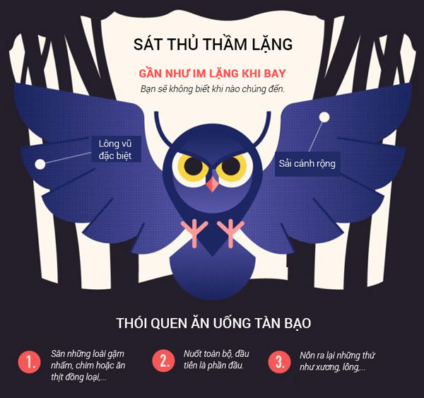 Một số loài cú sở hữu bộ lông cấu tạo đặc biệt