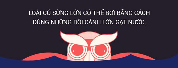 Loài cú lớn nhất đã tuyệt chủng