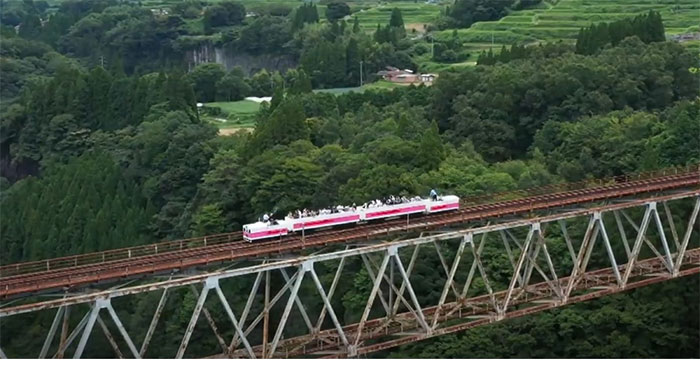 Tàu chạy bằng dầu ăn thừa 