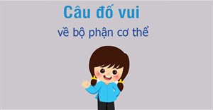 43 câu đố vui về các bộ phận cơ thể con người