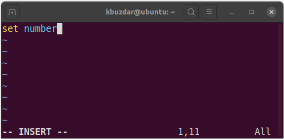 Vim Editor