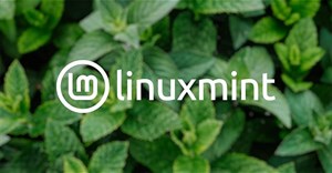 Cách nâng cấp lên Linux Mint 21 Vanessa