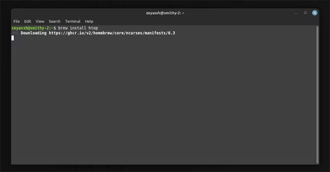 Lệnh cài đặt htop bằng homebrew
