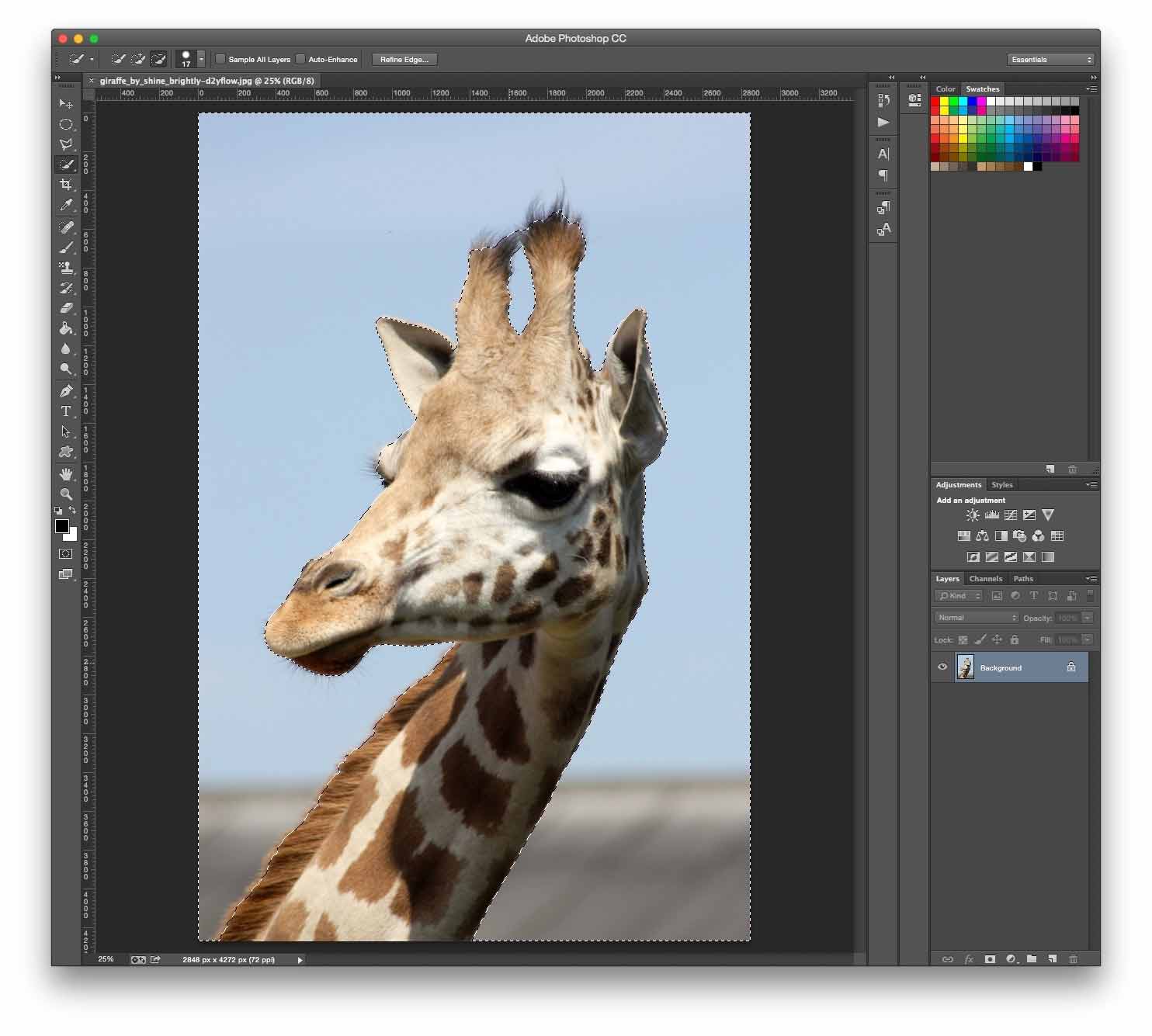 Hướng Dẫn Tách Ảnh Ra Khỏi Nền Bằng Photoshop - Quantrimang.Com