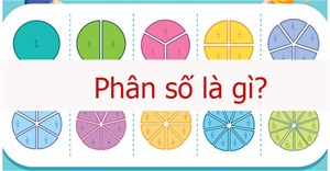 Phân số là gì?