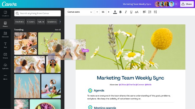 Tính năng kéo thả trực quan trên Canva Docs. Ảnh: Canva