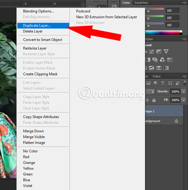 Cách copy Layer trên cùng một file làm việc