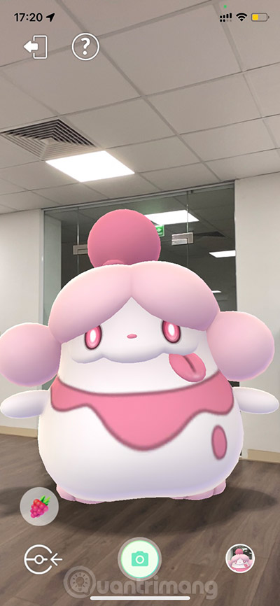 Chơi cùng Pokémon Buddy