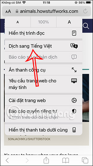 Translate website into Vietnamese 