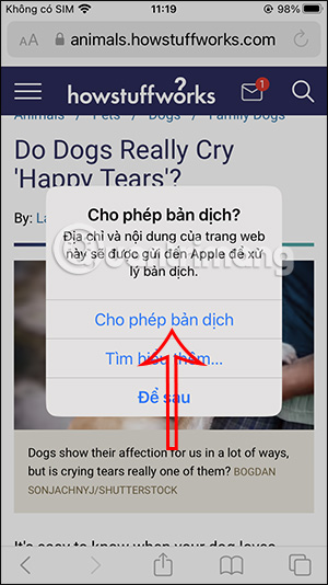 Allows translation into Vietnamese