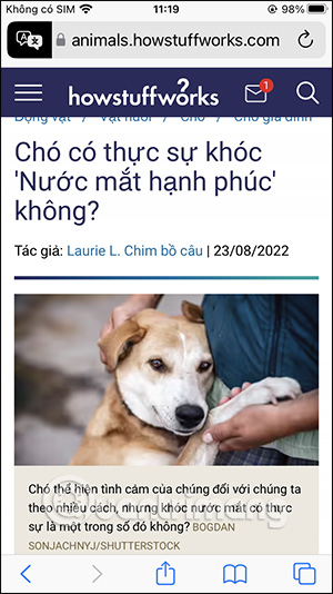 Translate Safari website into Vietnamese