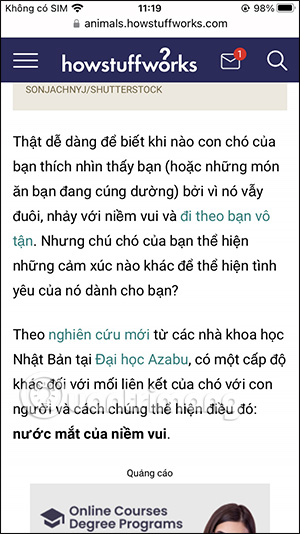 Translate website into Vietnamese