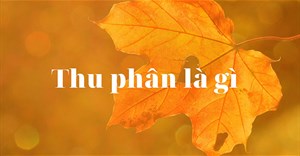 Thu phân là gì? Thu phân là ngày nào?