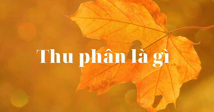 Thu phân là gì?