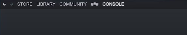 Steam Client Console