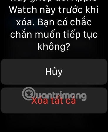 huy ghep doi apple watch