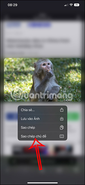 Sao chép chủ thể
