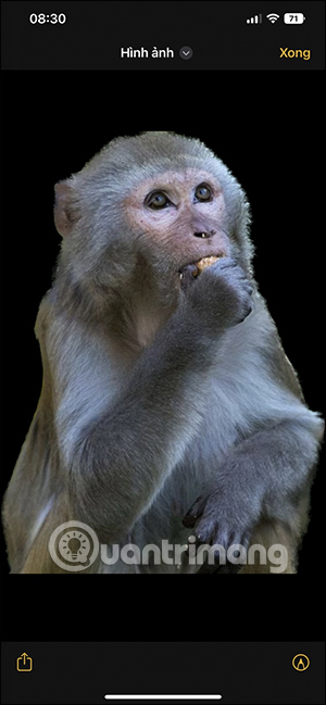 Hình ảnh tách nền trên iOS 16