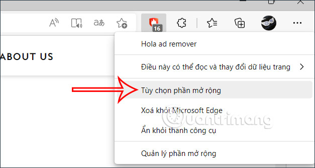 Tùy chỉnh mở rộng tiện ích