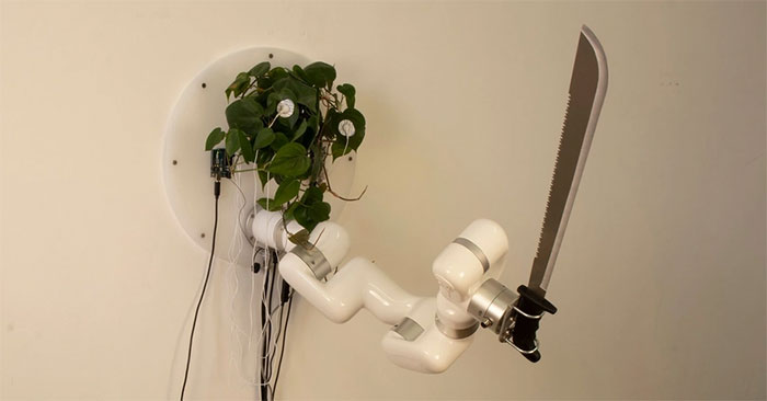 Cây cảnh điều khiển cánh tay robot