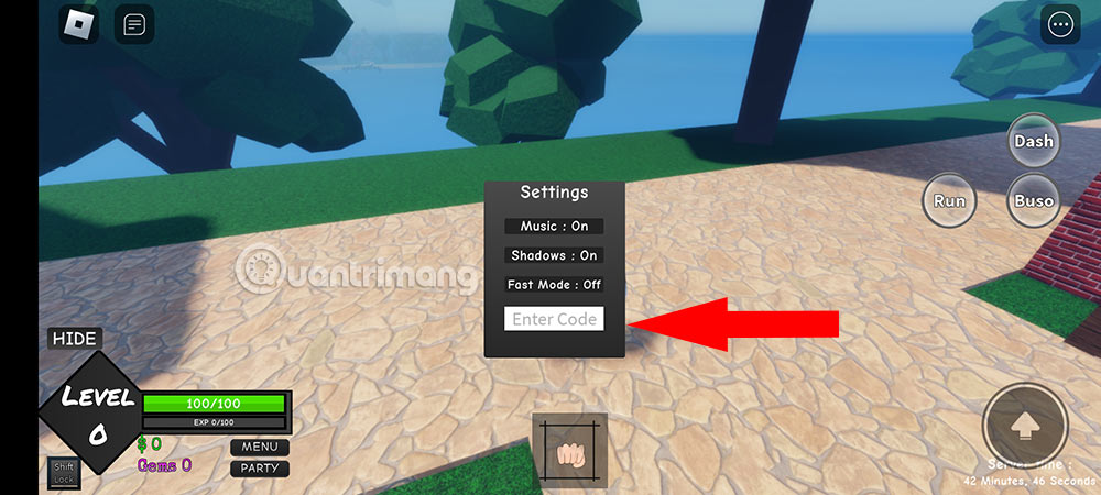 Hướng dẫn nhập code Pro Piece