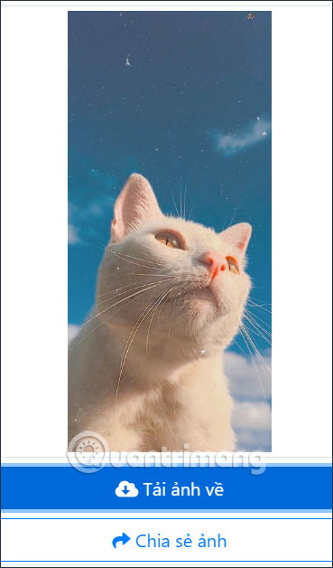 Tải ảnh hình nền iPhone có sẵn