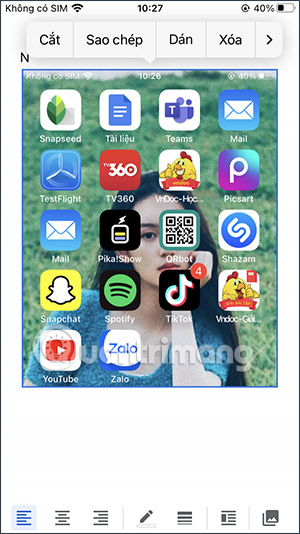 Ảnh chụp màn hình iPone
