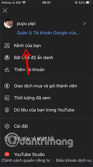 Kênh video YouTube