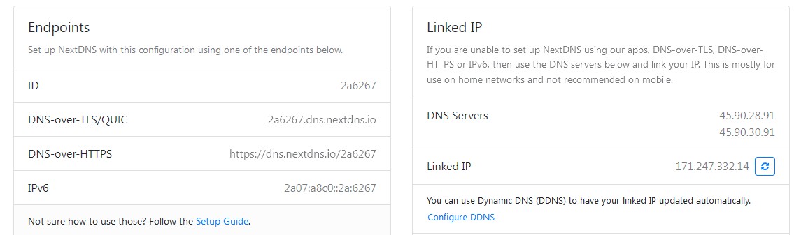 NextDNS account information page