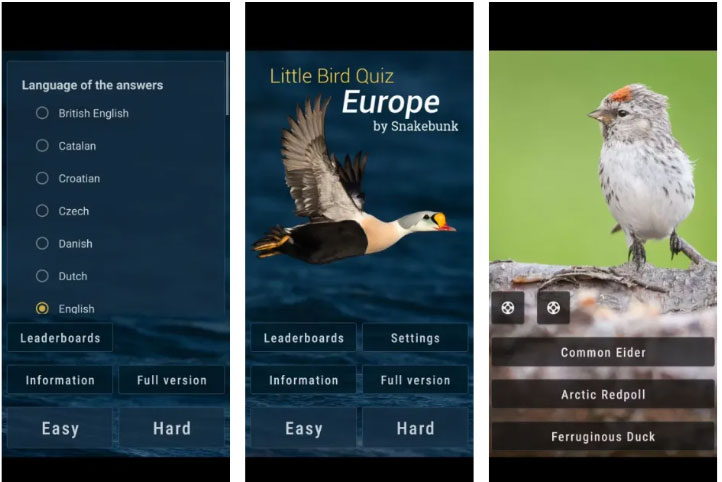 Little Bird Quiz Europe