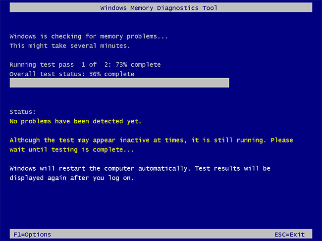 Windows Memory Diagnostic Tool sẽ tự động bắt đầu quét hệ thống
