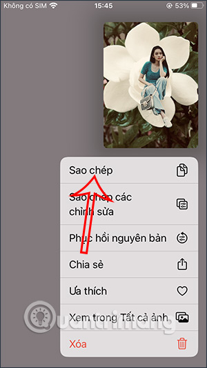 Sao chép hình ảnh