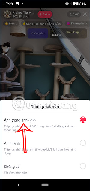 Trình xem video PiP livestream TikTok