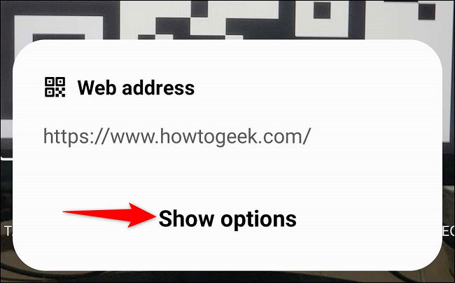 Nhấn vào “Show Options”