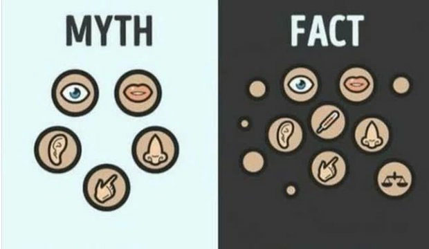 Con người có tất cả bao nhiêu giác quan?