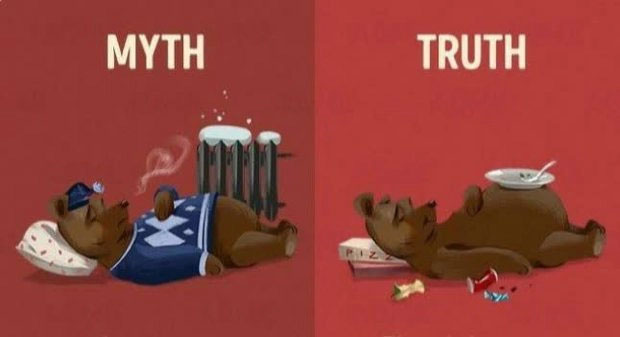 5. Vì sao những chú gấu lại phải ngủ đông?