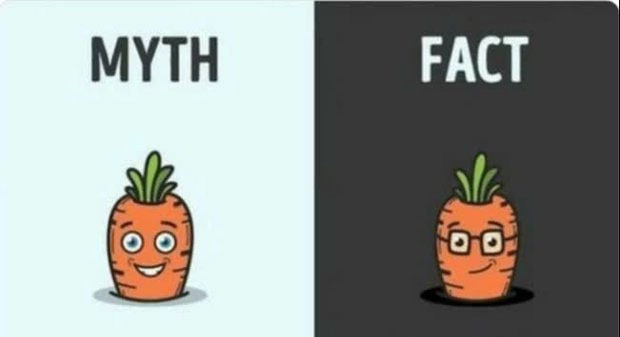 Cà rốt có giúp cải thiện thị lực?