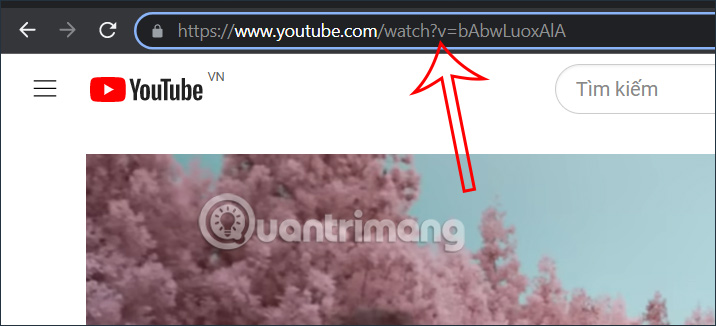 URL video YouTube